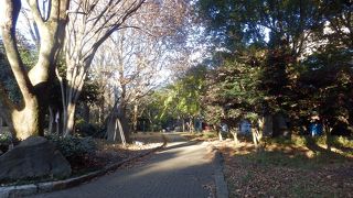 スポーツパーク