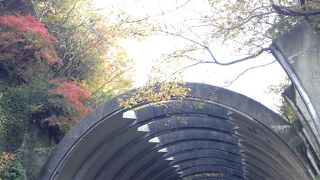 こぶくろ とも読みます