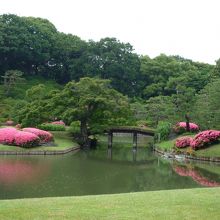 出汐湊から見た田鶴橋