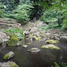 この辺りは岩が多い