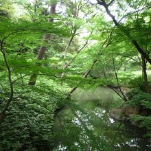 山陰橋から見た景色