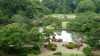 ここから六義園の大泉水周辺の景色を見渡せる