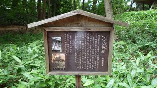 紅葉の季節にまた訪問したい