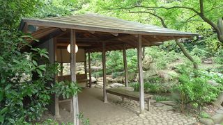 まるで本当の滝を見に来て休憩しているような気分になれました