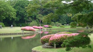 六義園には紀州にゆかりのある地名がよく使われています