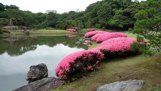 ごつごつとした岩とサツキが見ものでした