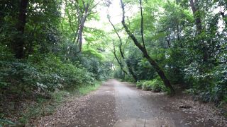 江戸時代は馬場でした