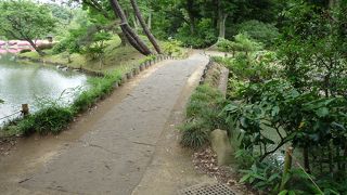 この奥に滝見茶屋があります