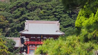 見どころ満載だが人も凄い