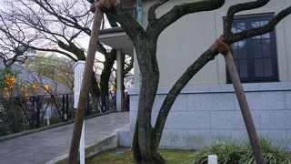 ここだけ高い塀に囲まれているので、ちょっと見にくいです