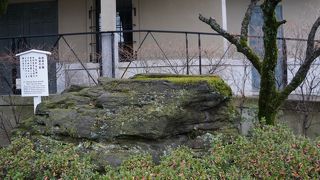 ちょっと生々しい遺物です