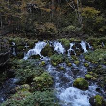 湧き水が豊富です