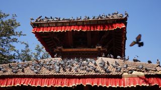 地震のダメージ有り