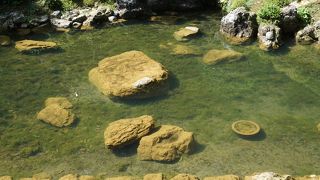 今回改めて、その美しさにハッとさせられた思い