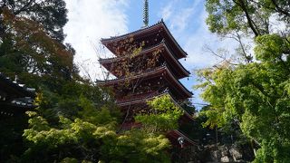 風情が出るのはまだ時間がかかるように思います