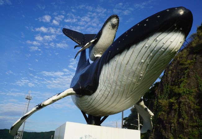 鯨のダイナミックさと親子の細やかな愛情が見事に表現されていて