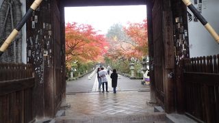 紅葉が綺麗でした