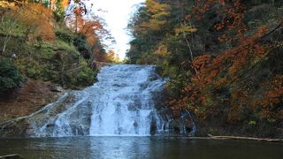 養老渓谷で一番大きな滝