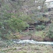 歩きやすい遊歩道です。