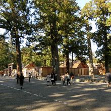 少し離れた所から。