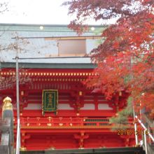 もう冬至祭の準備が行われていました