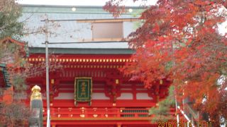 とても美しい色の神社