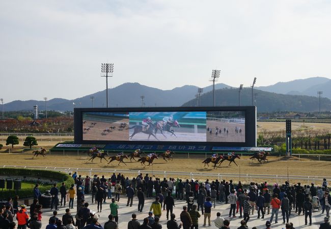 釜山競馬公園