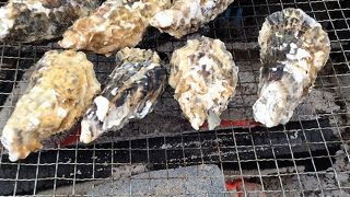 今年の牡蠣