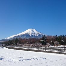 雪の富士山