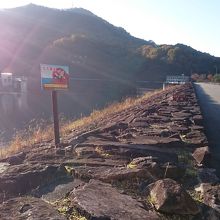 中には入れません