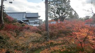 他より紅葉が残っていました