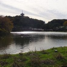 入場門すぐの光景