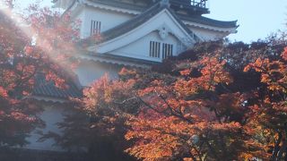 徳川家康出生のお城です。