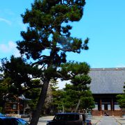 京都の中にあって静かな佇まいのお寺です