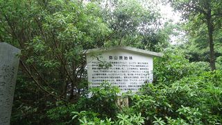 原始林が身近に？