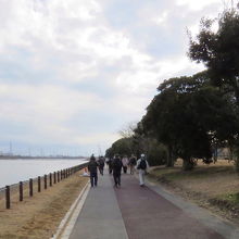 神之池緑地公園の遊歩道
