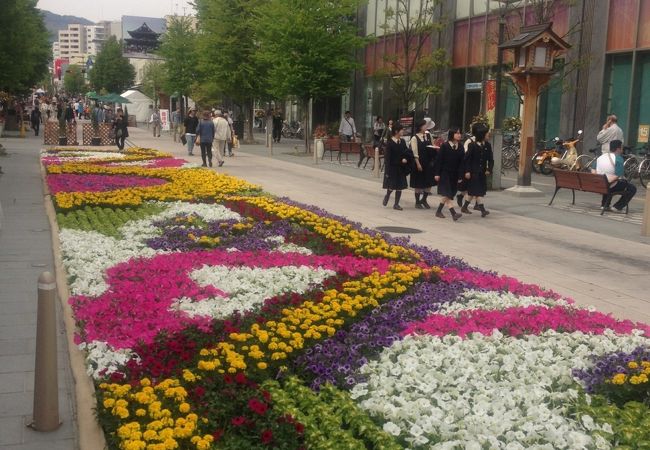 善光寺花回廊 ながの花フェスタ クチコミ アクセス 営業時間 長野市 フォートラベル