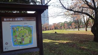 ゆったりと出来る場所。