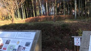 歴史博物館とセットで楽しめる