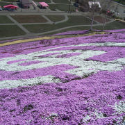 芝桜の名所