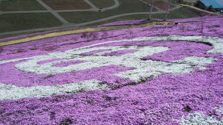 芝桜の名所