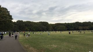 子供と楽しく過ごせます