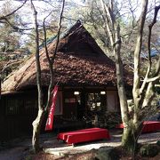 奈良公園の写真スポットの一つです