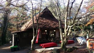 奈良公園の写真スポットの一つです