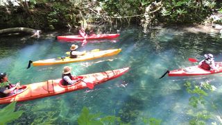 探検ツアーがオススメ！