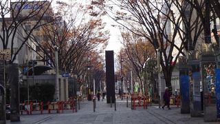 ゆったりとした雰囲気のある通り。