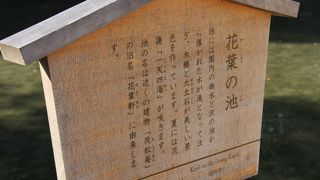 2016年12月　岡山市　「花葉の池」