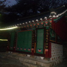 まだ薄暗い12月朝一の龍宮寺ツアーの雰囲気