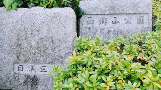 富士山頂部分を視認出来ました