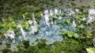 「風景」はありませんでした